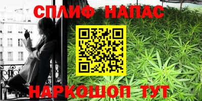 МДПВ Будённовск