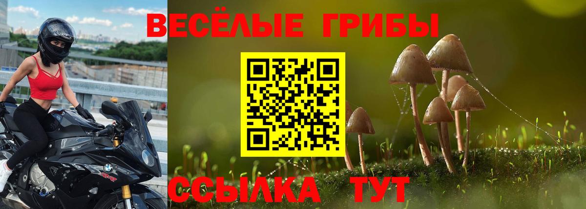 Псилоцибиновые грибы GOLDEN TEACHER Щёкино